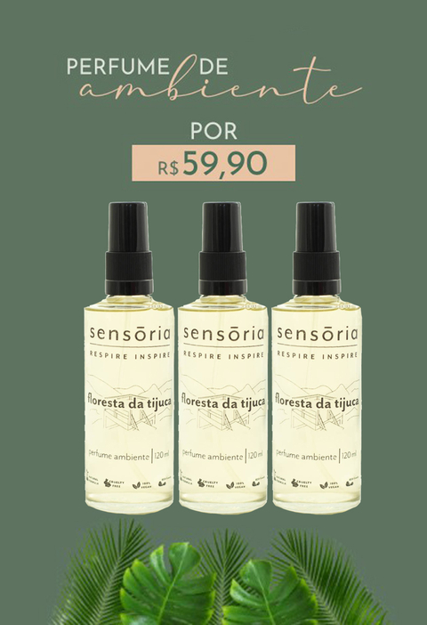 Carrossel 1