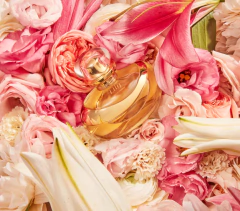 Lily Eau de Parfum 75m na internet