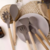 Set X12 Utensilios de Silicona con Mango de Madera Gris
