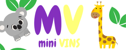 Mini VINS