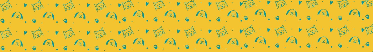 Banner da categoria Cães