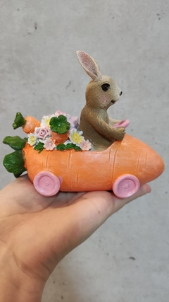 Coelhinho dirigindo o carrinho de cenoura 11cm x 14cm na internet