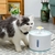 Fonte de água para gatos - comprar online