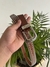 CINTO BLOOM - Use Bi Closet