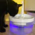 Fonte de água inteligente para gatos 2L com torneira Dispensador de água para