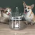 Fonte de água inteligente para gatos 2L com torneira Dispensador de água para - loja online