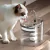 Fonte de água inteligente para gatos 2L com torneira Dispensador de água para na internet