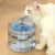Fonte de água inteligente para gatos 2L com torneira Dispensador de água para - comprar online