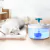 Fonte de água inteligente para gatos 2L com torneira Dispensador de água para - loja online