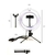 Anel Ring Light 8 Pol + Tripé De Mesa + Suporte Cel Video