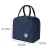 Bolsa Térmica Portátil Com Isolamento Térmico De Desenho Moda Enviar cor alea - MegaShopp | Frete Grátis para Todo Brasi