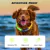 DOGCARE Destaque LED coleira para cães brilhante anti-perda de segurança notur - comprar online