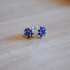 AROS BLUE