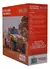 KIT FILTRO KA/NEW FIESTA/ECOSPORT WKL162 - comprar online