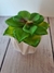 MACETA DE CERAMICA CON PLANTA ARTIFICIAL en internet