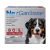NexGard Antipulgas e Carrapatos para Cães de 25 a 50kg