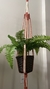 Suporte de Planta Glay - comprar online