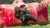 Carrusel ARMYMEX