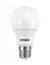 Lâmpada Led 9w Branco Frio Taschibra TKL60