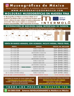 Banner de la categoría Moldura Museográfica importada de Europa