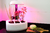 EVA Baby- Horta inteligente - comprar online