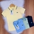 Camisa Gola Polo Lacoste - comprar online