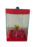 Aquário Beteira 10x10x15 Decorado P/ Peixe Beta - CASA TUDO TEM