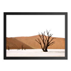 QUADRO ÁRVORE SECA na internet