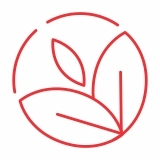 Categoria 5