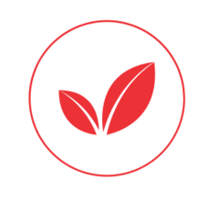 Categoria 9