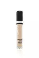 CORRETIVO SERUM RETINOL 20 PAYOT na internet