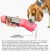 Garrafa de água portátil para cães e gatos - Apollo Store