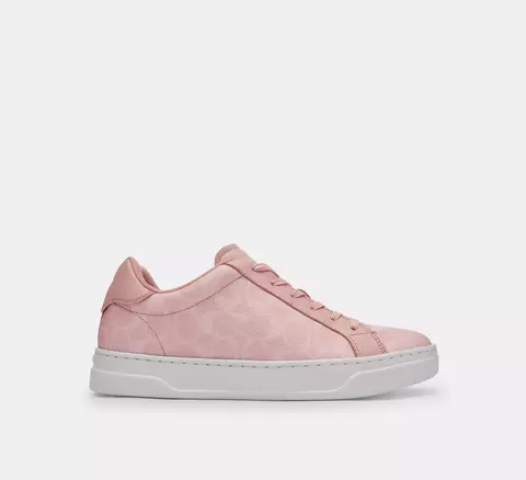 High Line Sneaker In Signature Canvas