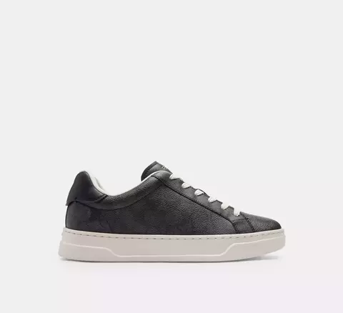 High Line Sneaker In Signature Canvas