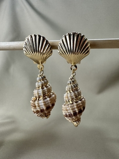 Concha com Búzio Dourado