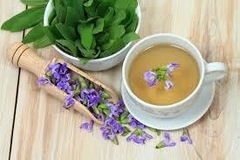 Guia Prático de Chás Medicinais na internet