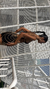 TOP RUBY - loja online