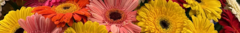 Banner de la categoría FLORERÍA 