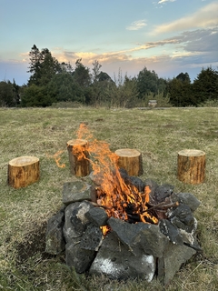 Experiencia: Floreciendo en el bosque