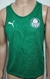 Colete Palmeiras Puma treino na internet