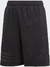 Shorts Performance Adidas YB Treiner Brand DJ1165 Juvenil