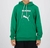 Moletom Palmeiras Puma Graphic Hoody Juvenil na internet