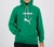 Moletom Palmeiras Puma Graphic Hoody Juvenil