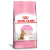 Ração Royal Canin Feline Health Nutrition Kitten Sterilised para Gatos Filhotes Castrados de 6 a 12 meses de idade