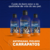 Imagem do Shampoo Duprat Ectobactericida Matapulgas Carrapatos Piolhos 500mL