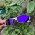 Juliet Plasma - Oakley Óculos de Sol Brilho Reto