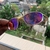 Double X 24k - Oakley Óculos de Sol - comprar online
