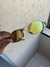 Juliet 24k - Oakley Óculos de Sol - comprar online