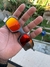 X - Squared - Oakley Óculos de Sol - comprar online