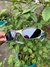 Juliet Plasma - Oakley Óculos de Sol